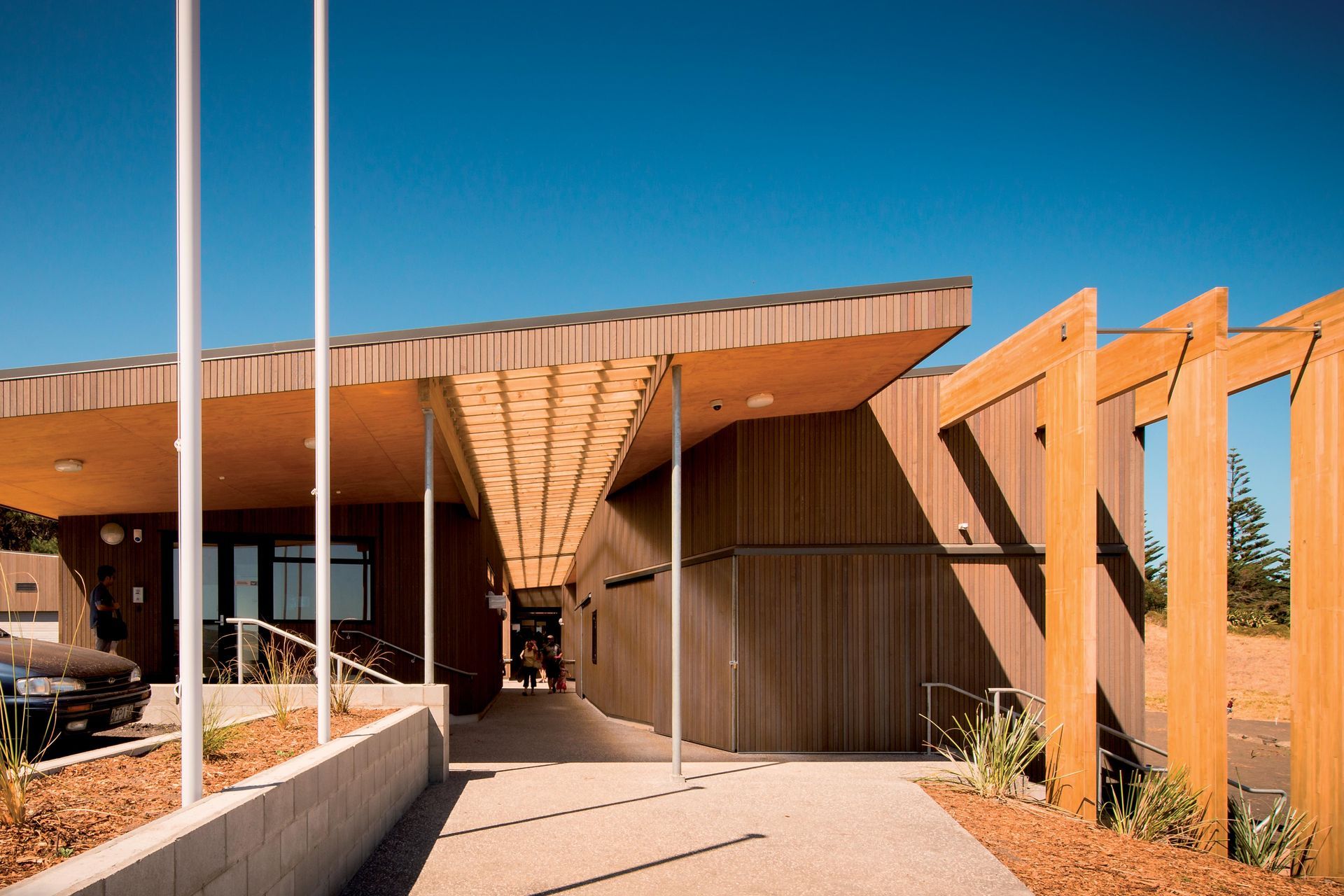 Project Timber: Muriwai SLC - January 2021