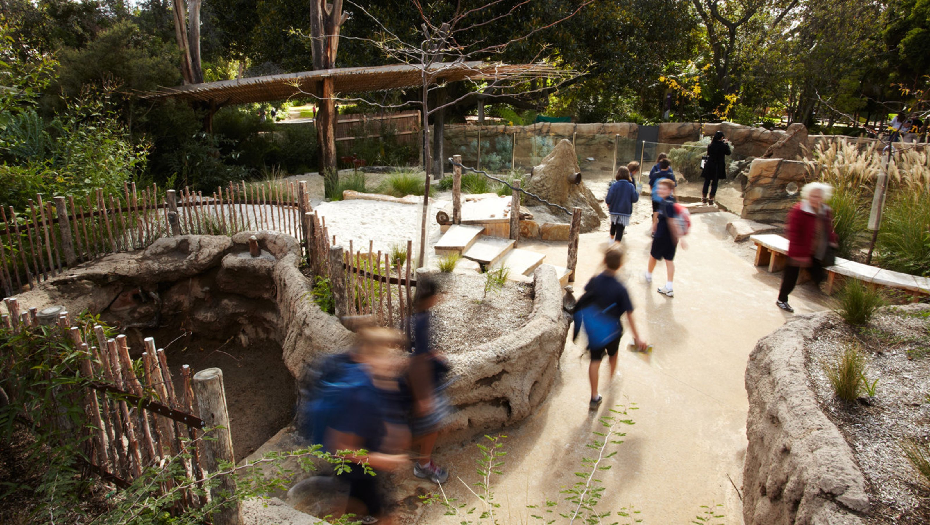 Growing Wild Zoo Precinct