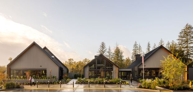 A wide exterior view of a contemporary multi-building residential property arranged around a landscaped forecourt. The buildings have steep gabled roofs, dark metal roofing, vertical timber-like cladding, large glazed openings, and strong timber structural framing. Tall trees surround the site, while a paved driveway and low planting define the foreground. Warm late-day sunlight gives the scene an inviting, refined atmosphere.