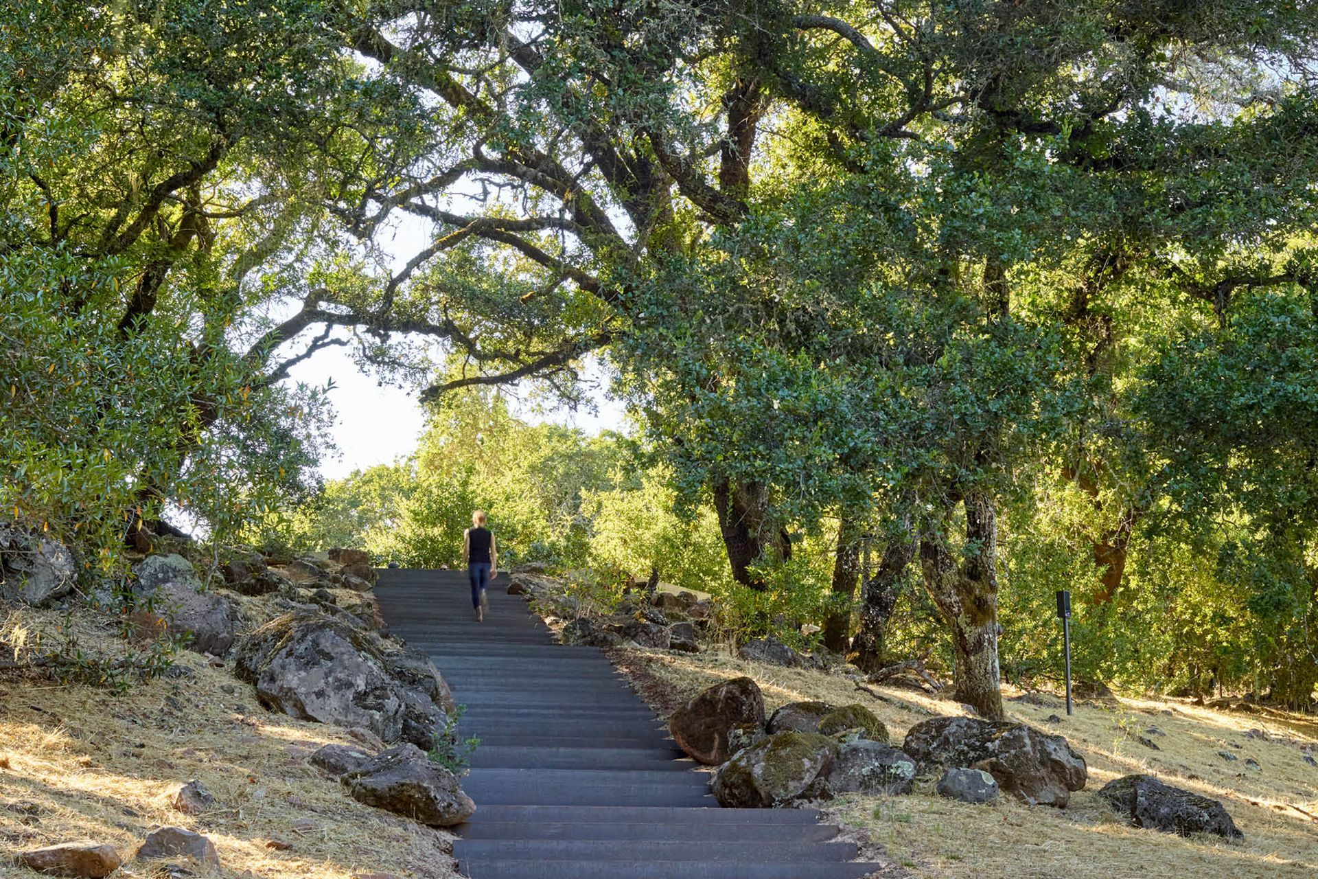 OliverRanch0.jpg
