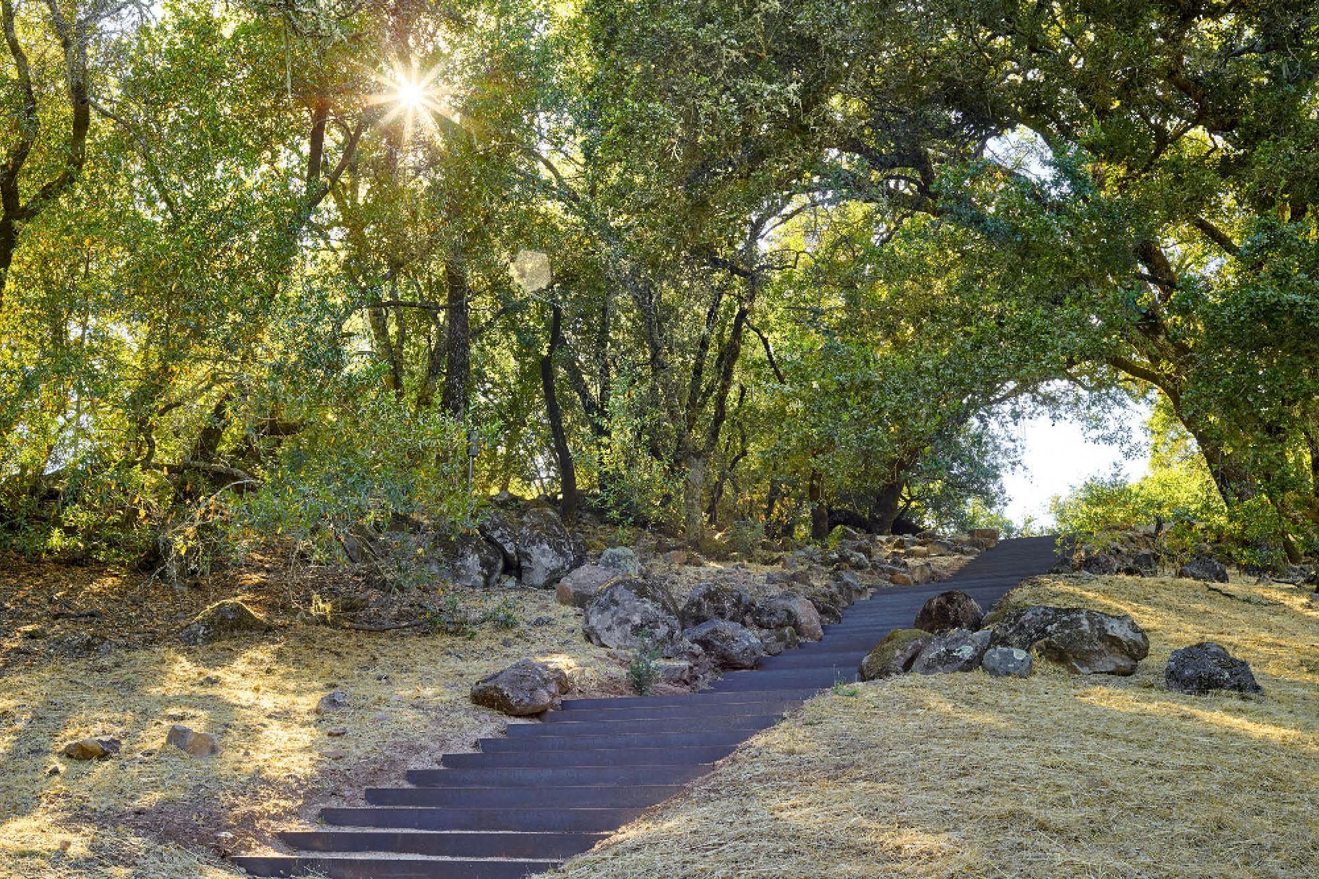 OliverRanch02.jpg