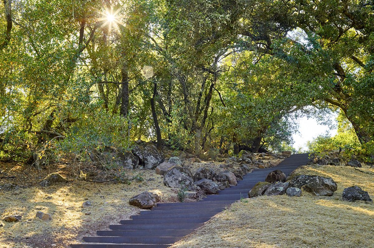 Art in the landscape | Oliver Ranch