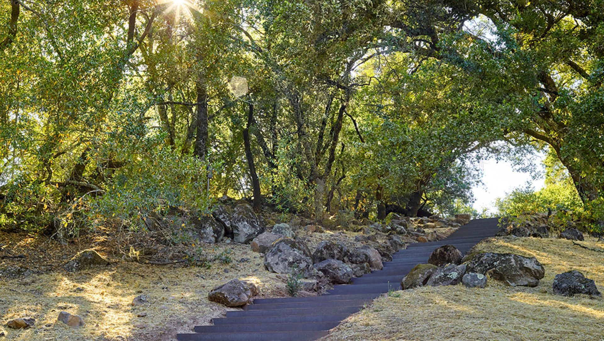 Art in the landscape | Oliver Ranch banner