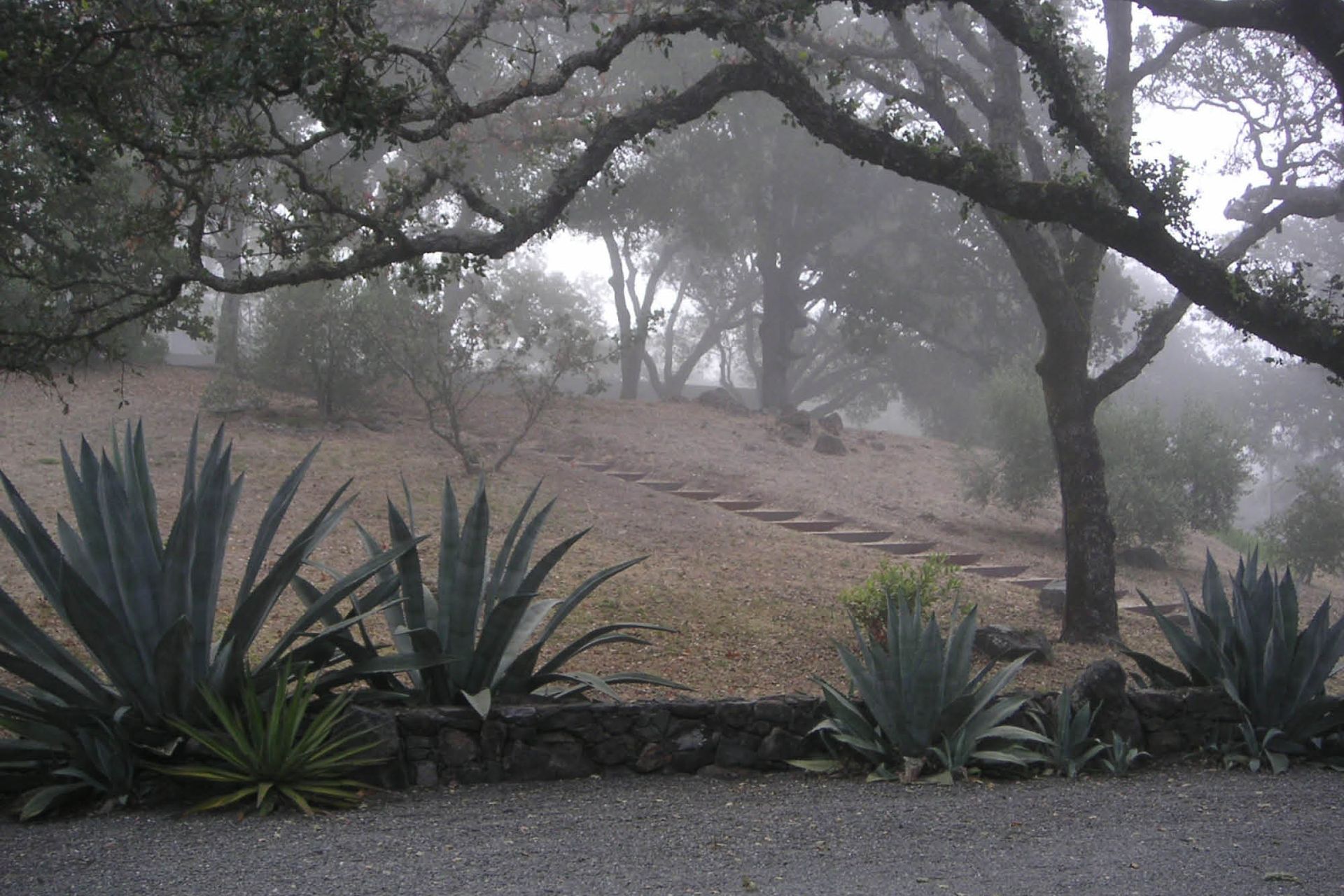OliverRanch11.jpg