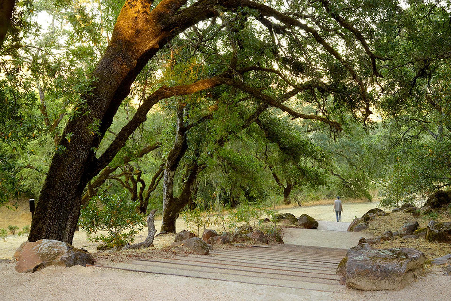 OliverRanch5.jpg