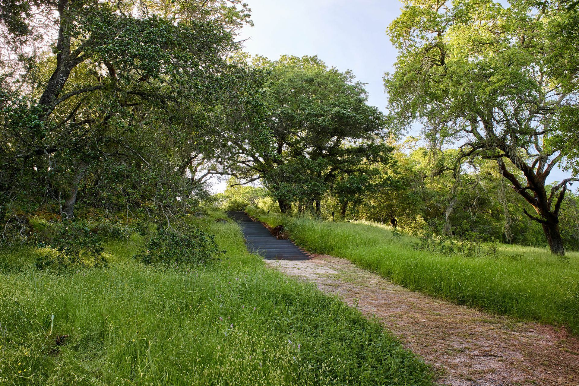 OliverRanch6.jpg