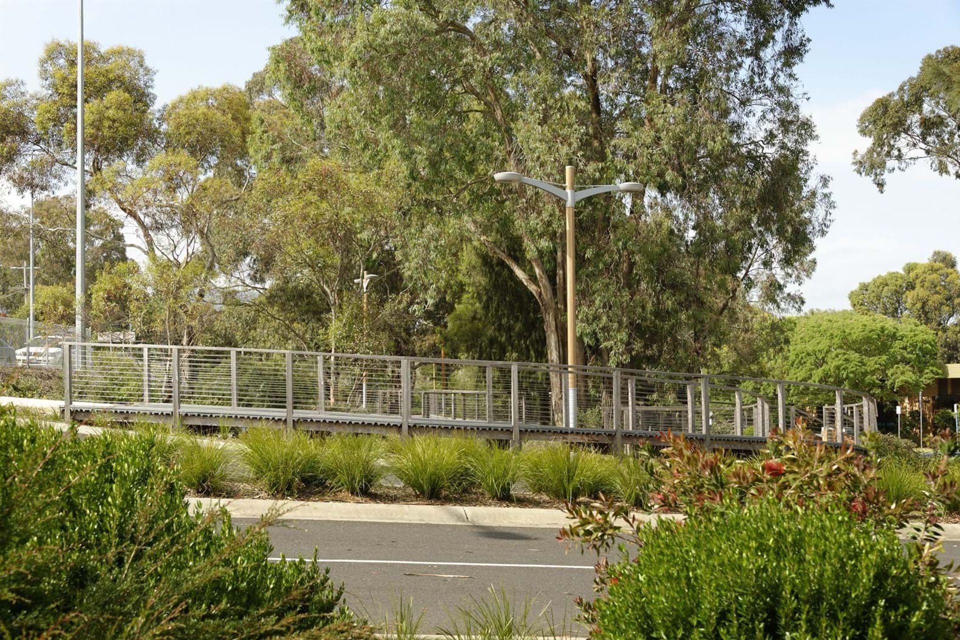 Lilydale Landscape