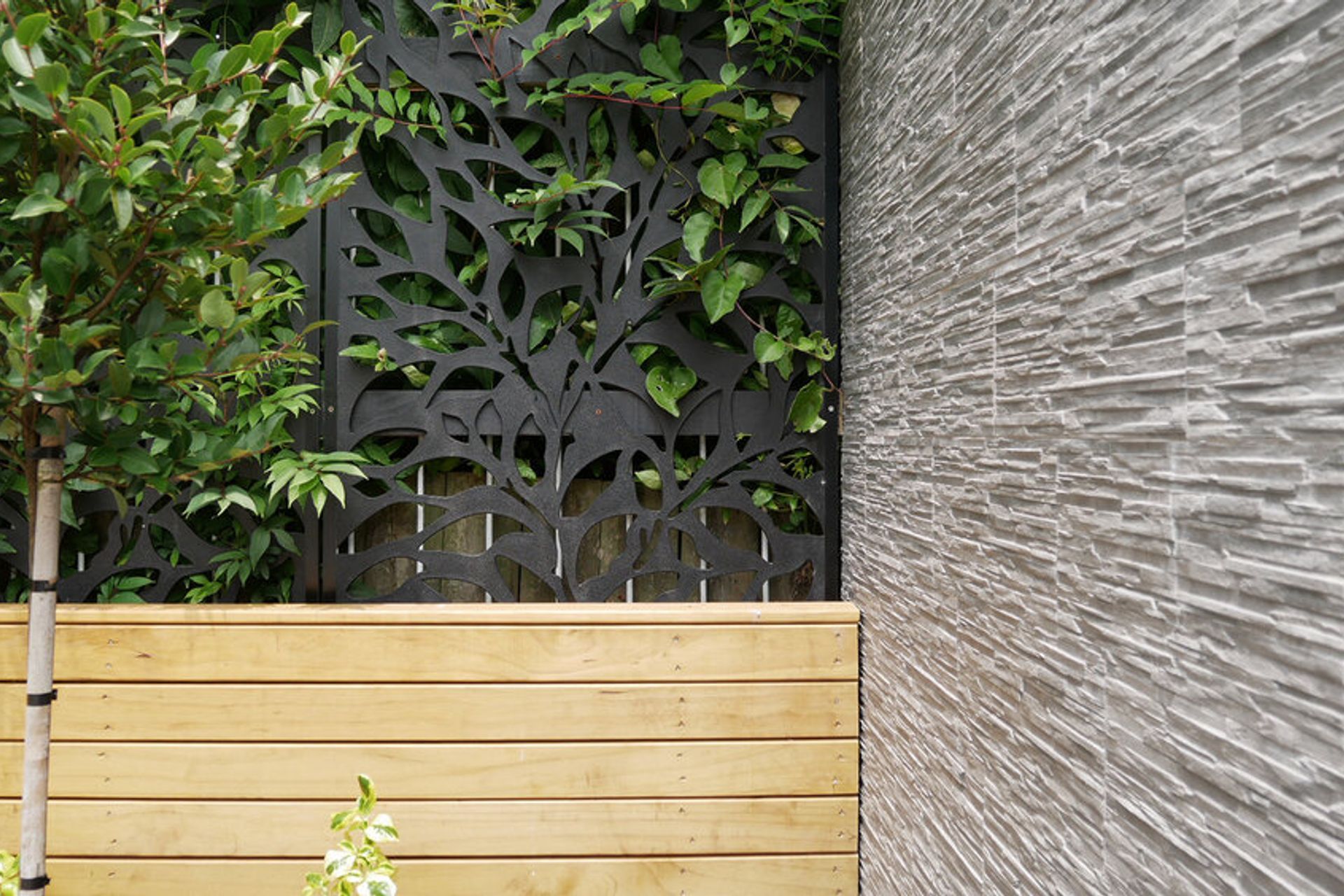 TD House
