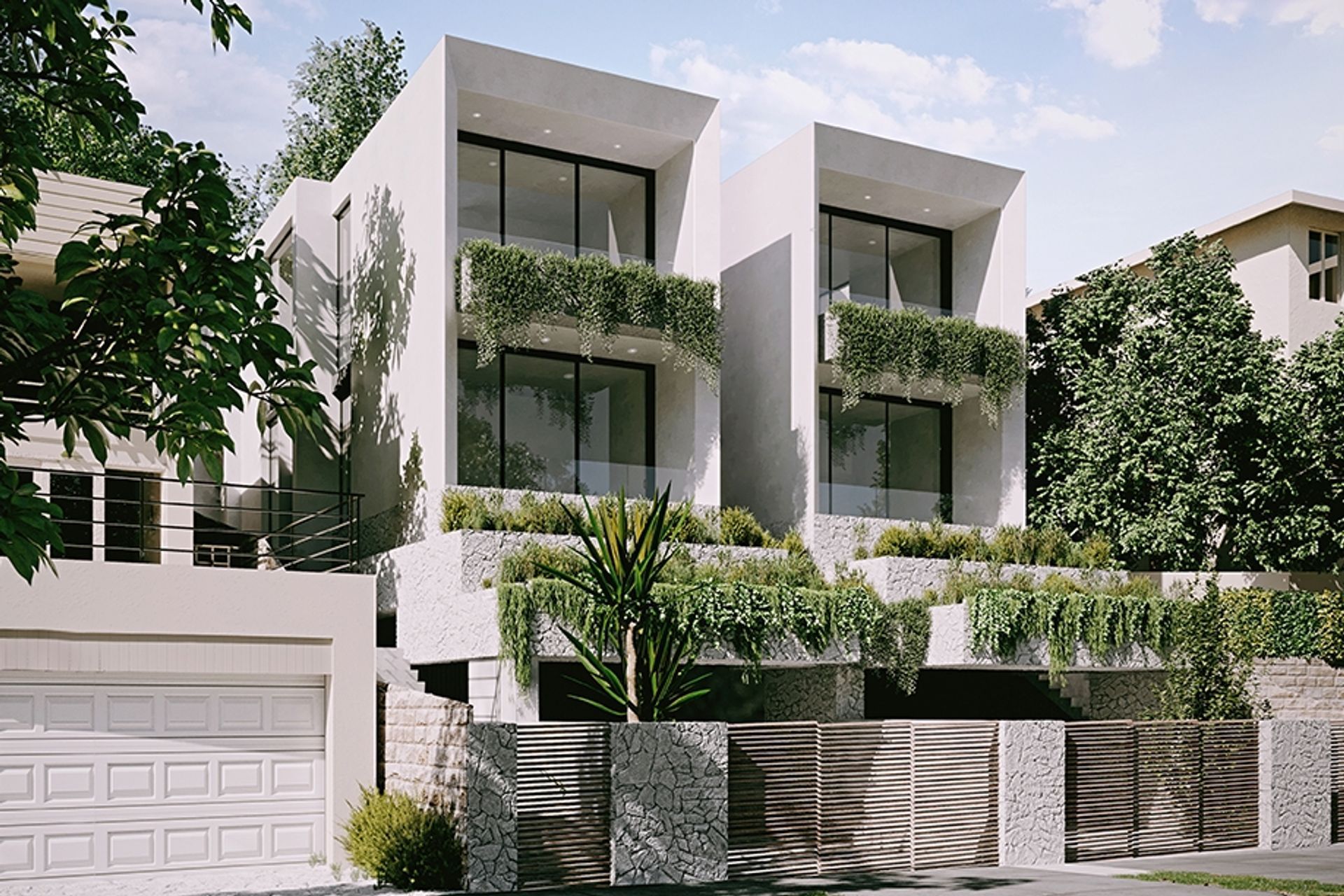 Boronia