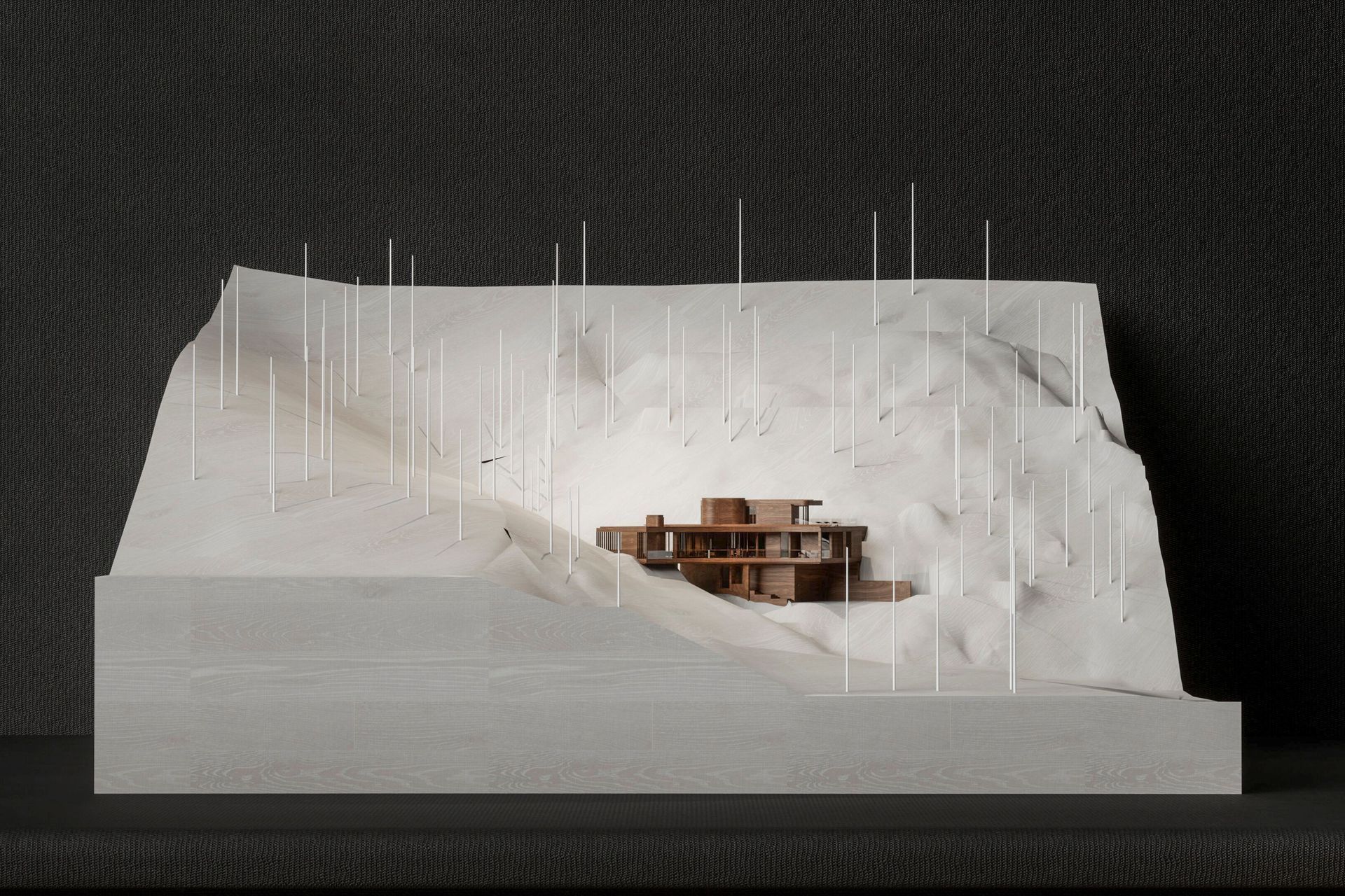 Further-Architecture-House-for-a-hillside.jpg