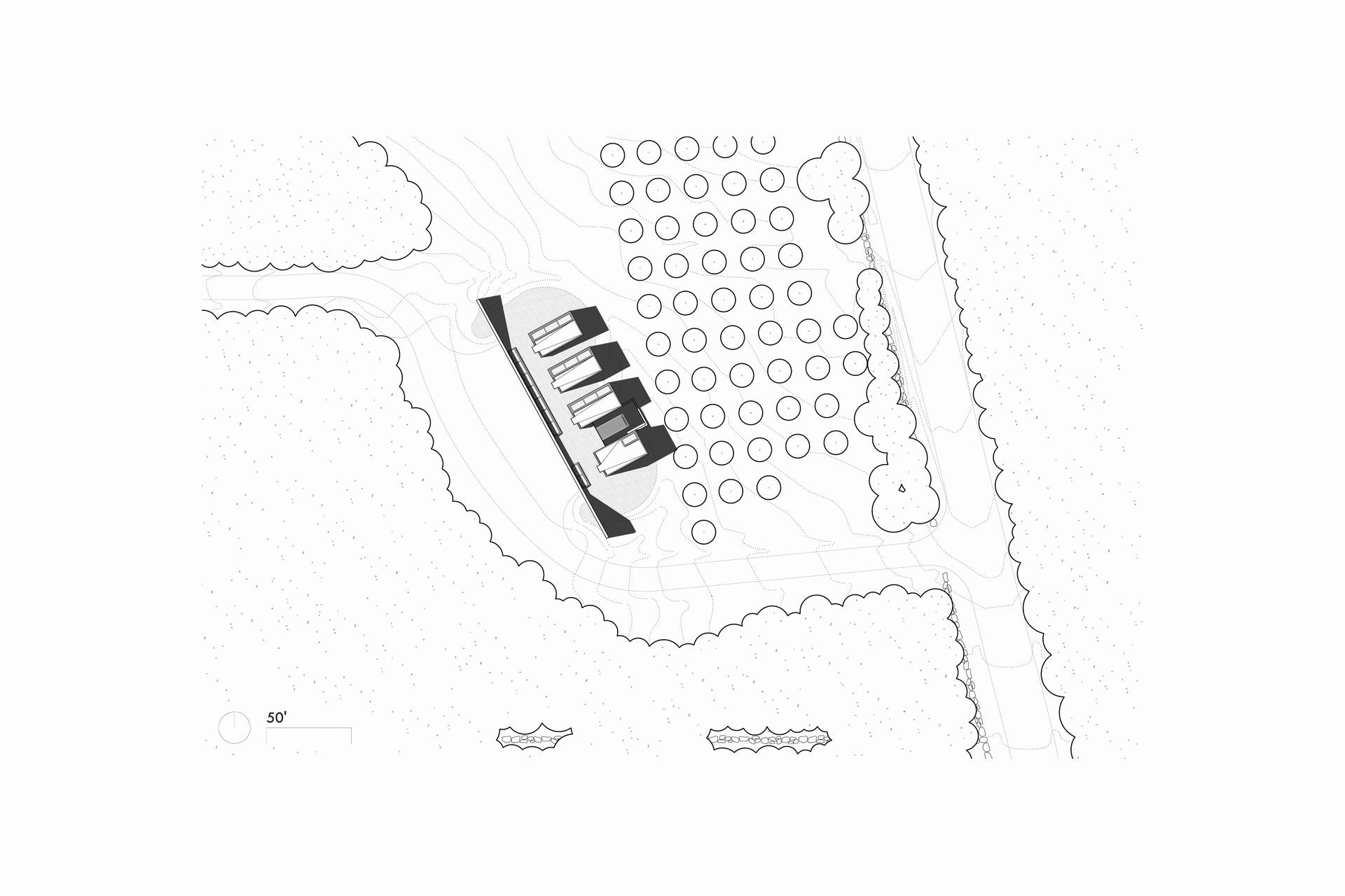 SITE-PLAN2.jpg