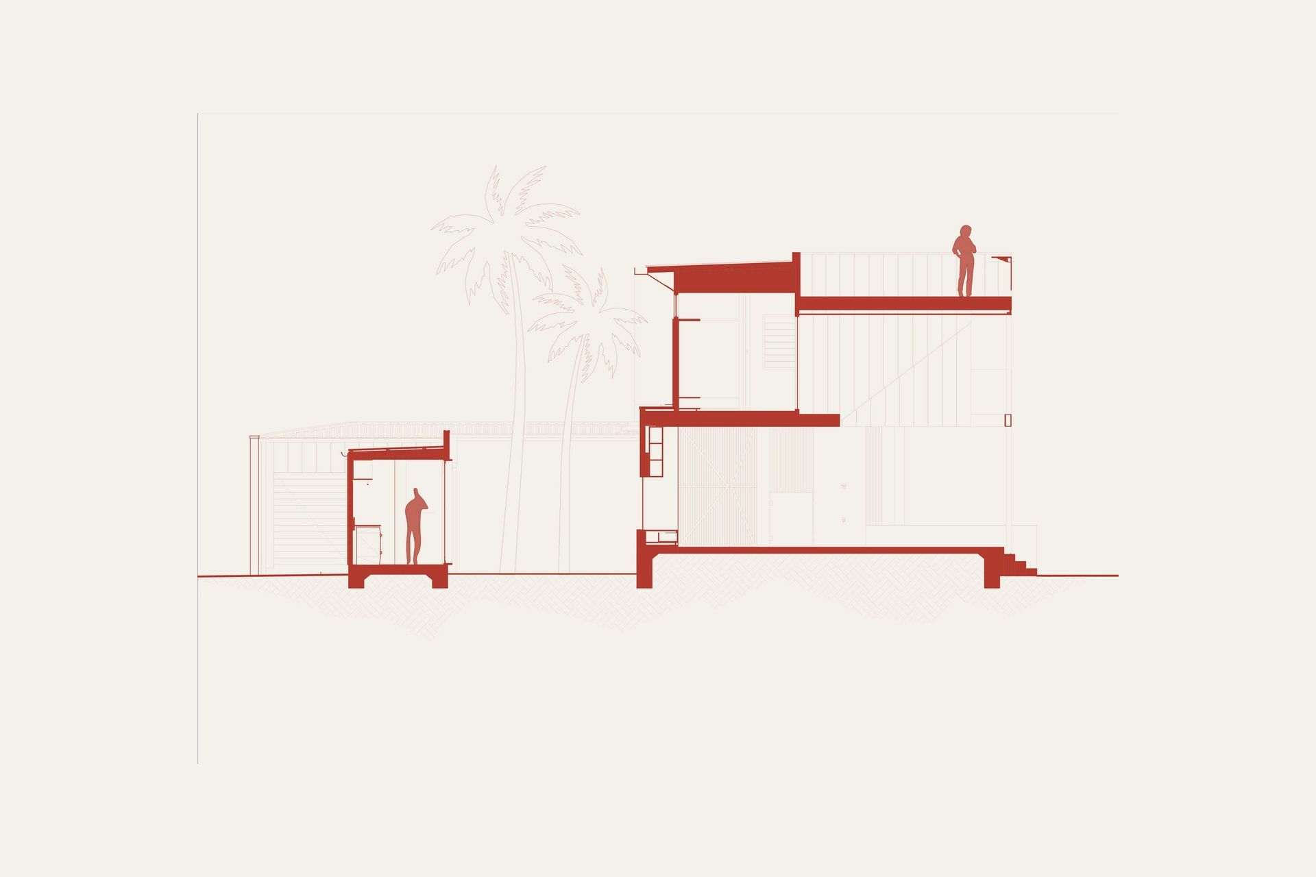 Eleutheria - Section. Section drawing through the home and pool.