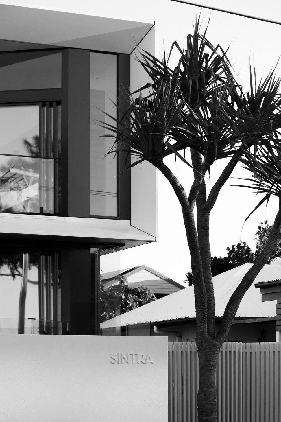 Kruger Residence - Exterior. Palms and the white facade in black and white.