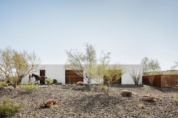 Single-storey modern residence viewed from the front, with a low flat roof, crisp white rendered walls, warm timber garage and entry doors, and a broad gravel xeriscaped landscape. Sparse drought-tolerant planting, sculptural trees, rocks, and a timber slat boundary fence create a desert-inspired setting. A horse and other distant landscape elements are present but secondary.