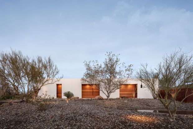 Single-storey minimalist residence with a long white rendered facade, warm timber garage or entry doors, and a sparse xeriscaped gravel front garden with sculptural, leafless desert trees. The low horizontal form and flat roof sit beneath an open blue sky.