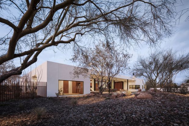 Single-storey contemporary residence viewed from a landscaped front yard, with crisp white rendered cubic walls, warm timber-framed glazing and doors, a low flat roofline, and sheltered outdoor areas. The drought-tolerant landscape uses extensive dark gravel, rocks, sparse ornamental grasses, mature leafless trees, and metal fencing. The composition emphasises the building facade and its integration with a dry garden setting.