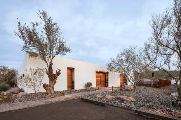 Single-storey minimalist residence with a crisp white rendered facade, flat roofline, and several warm timber-clad entry doors set into deep openings. The building is approached by a dark paved driveway and a simple concrete path, with a dry, gravelled xeriscape landscape featuring mature sculptural trees, rocks, and sparse desert planting. The composition has a calm, contemporary desert character under an overcast sky.