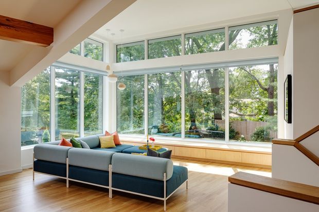 Bright contemporary living room with a large blue sectional sofa, extensive floor-to-ceiling glazing, and a built-in timber window seat overlooking leafy trees. White walls and ceiling, warm timber flooring and joinery, pendant lights, and a timber-trimmed stair contribute to an airy, inviting interior.