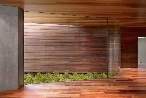 Interior architectural view featuring a richly timber-lined ceiling, floor, and curved horizontal timber slat wall. A full-height curved glass screen encloses a narrow planted garden strip, while a substantial raw concrete wall forms a contrasting structural element. The composition is warm, refined, and highly detailed, with a corridor or entry-like circulation space extending toward the right.