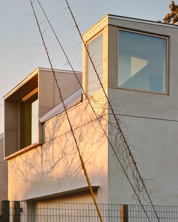 Close-up architectural photograph of a contemporary multi-level residence with clean rectangular volumes, smooth pale rendered walls, flat rooflines, deep recessed openings, and large square windows with dark frames. Bare climbing vines cross the facade, while warm low-angle sunlight creates strong shadows and highlights the minimalist geometry.