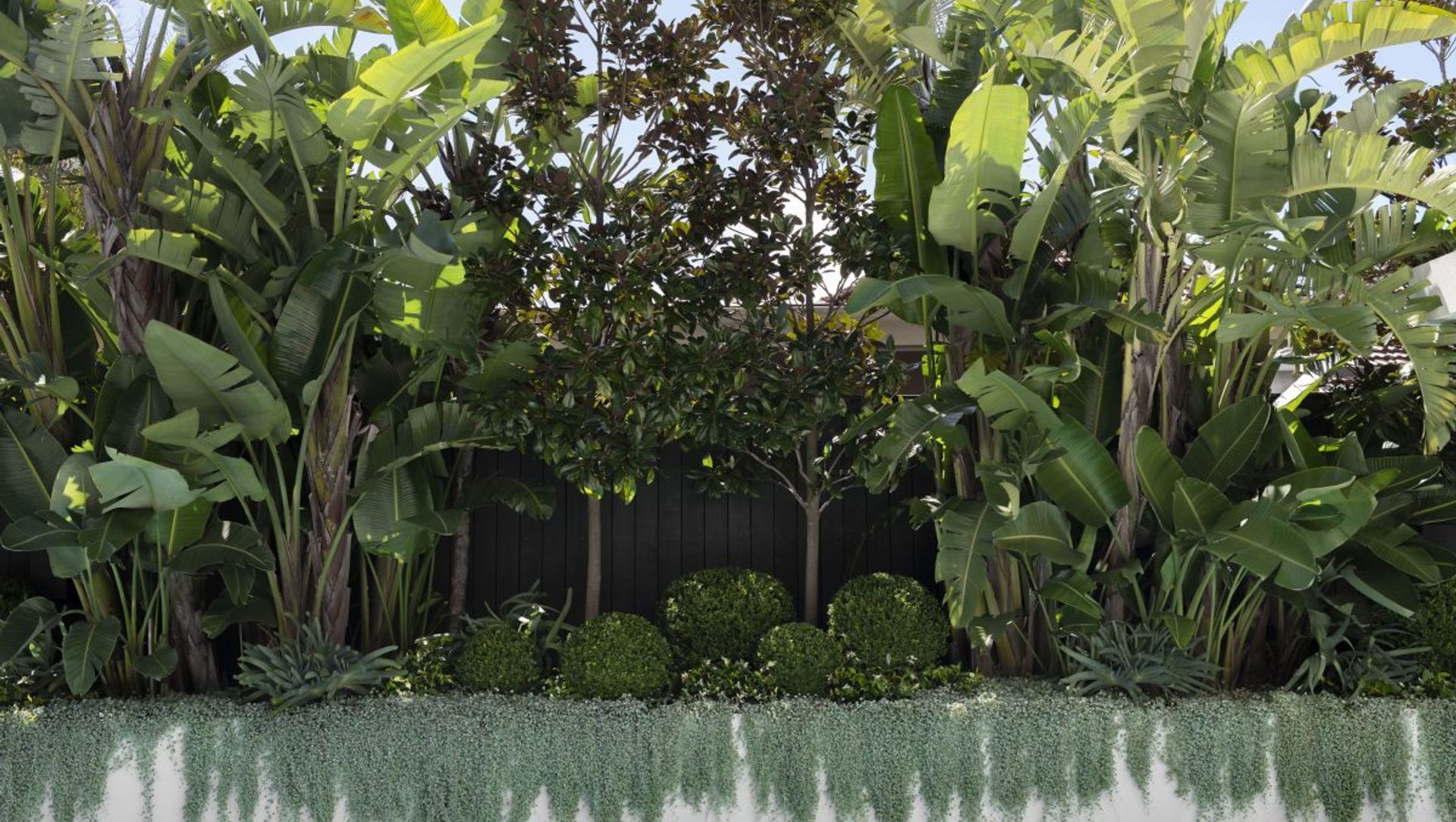 Urban Jungle banner