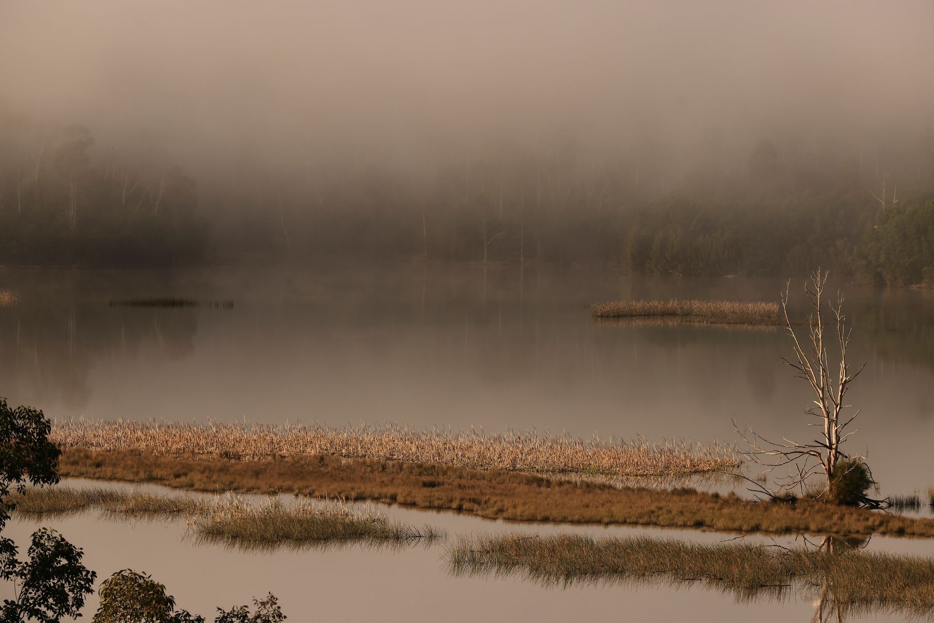 0R8A6898.JPG
