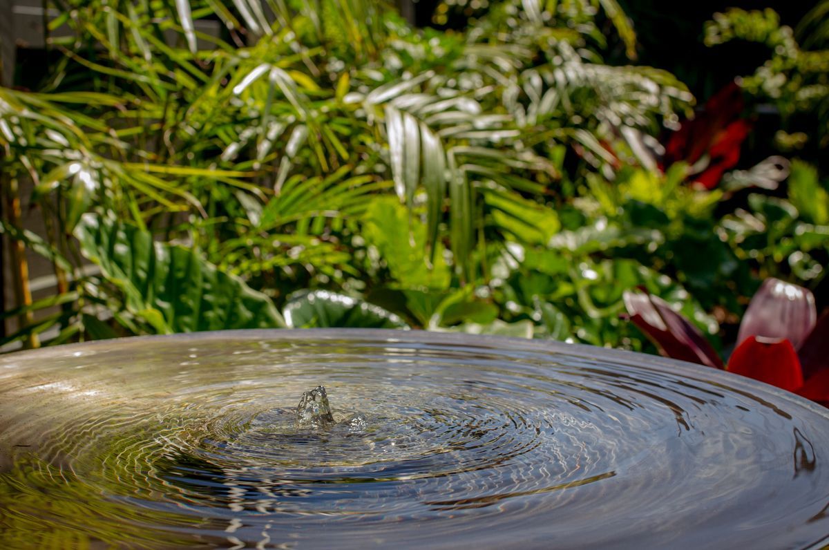 Milord Tropical Garden