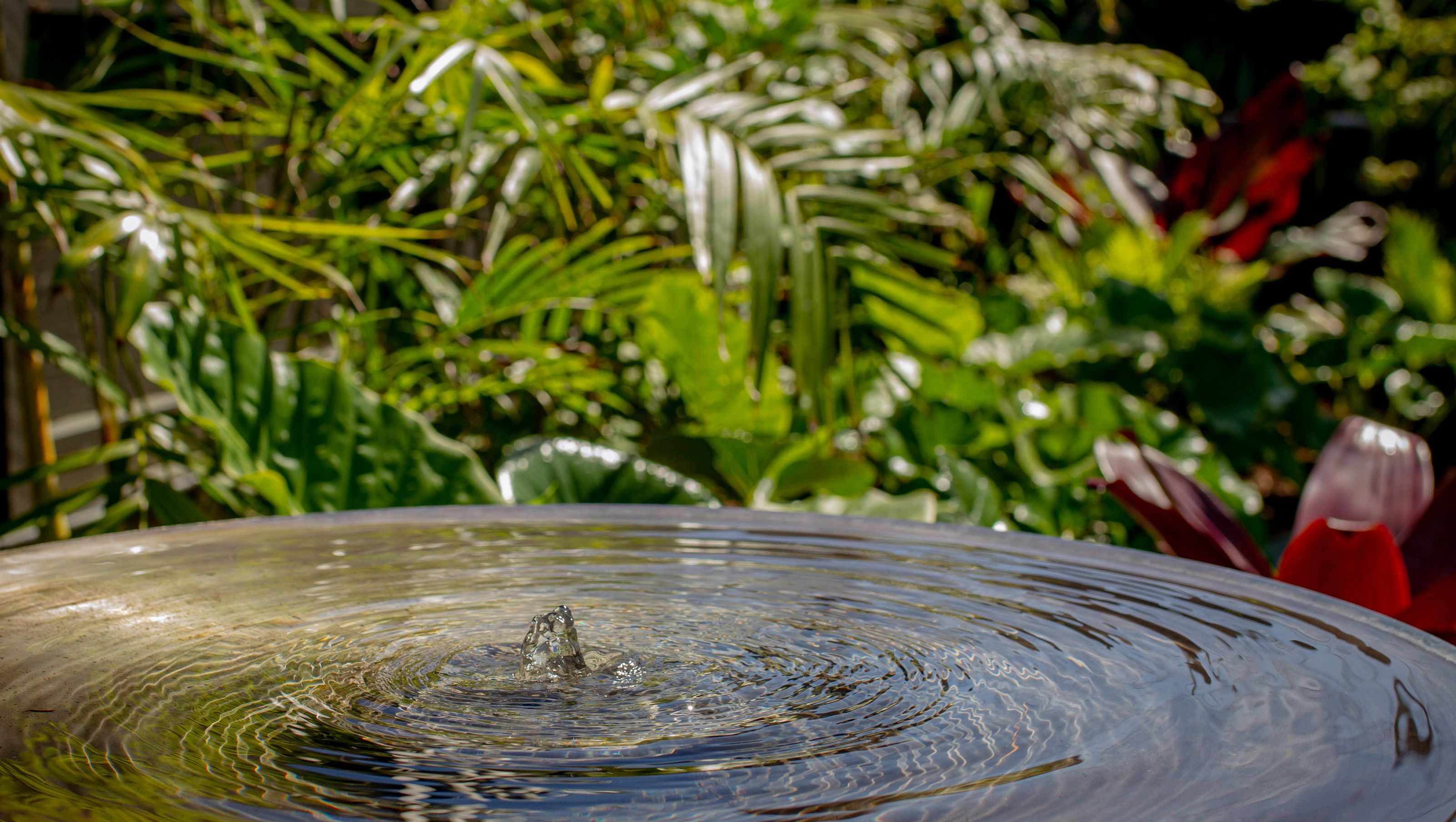 Milord Tropical Garden