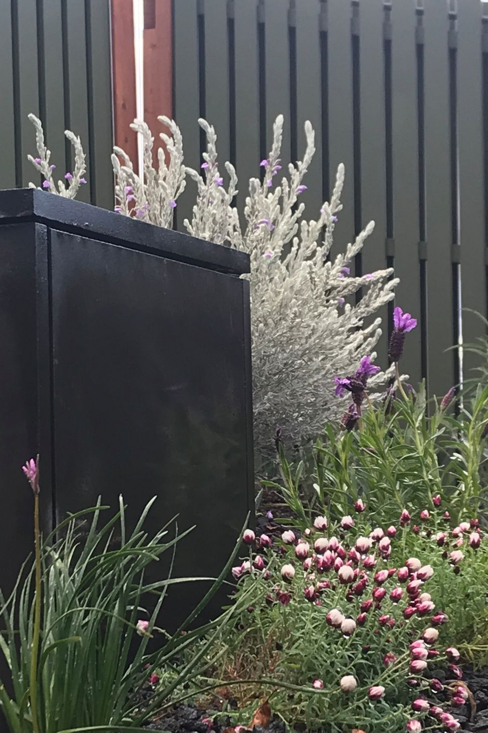 ##^^**&amp;&amp;'Welkin', Colourful Rooftop Terrace &amp; 'Scarborough' Garden In Clifton Hill