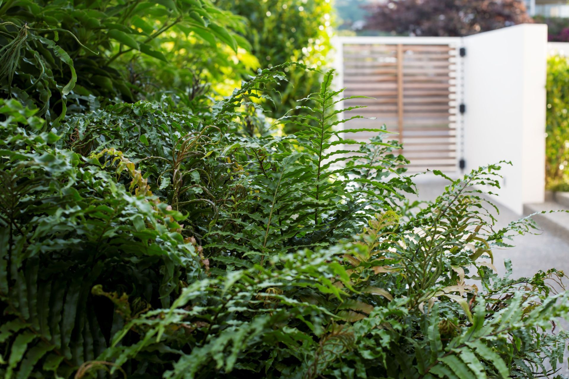 Estuary Garden
