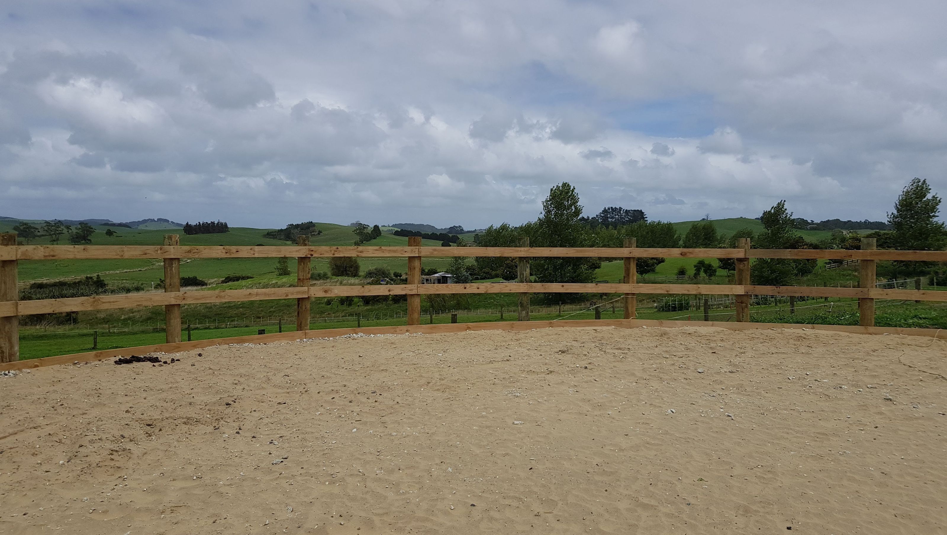 Horse Training Ground