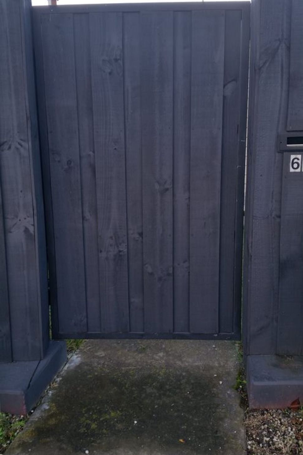 Pedestrian Gates