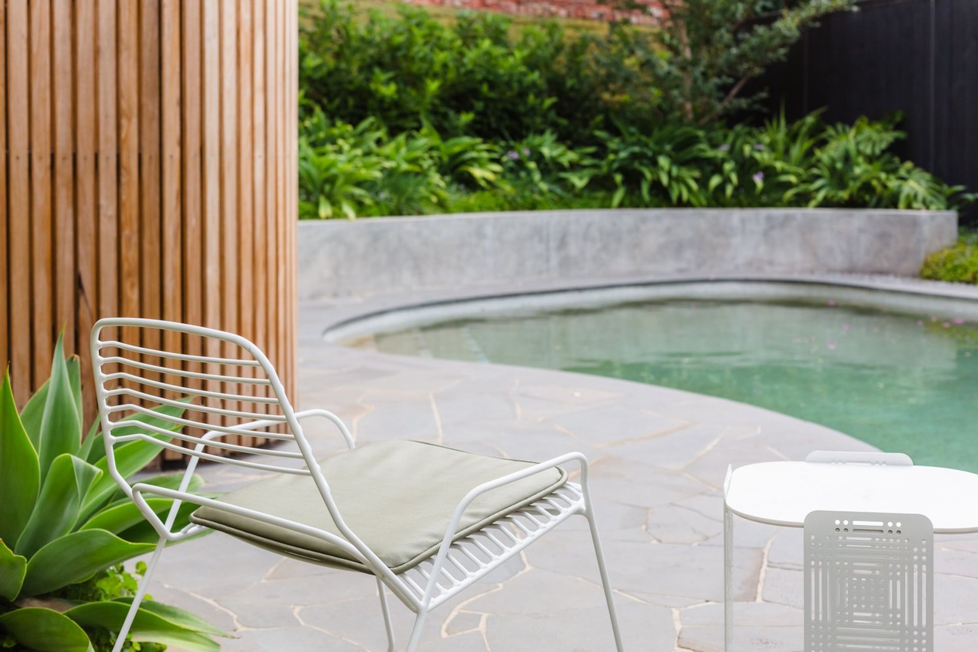 Strelitzia Garden