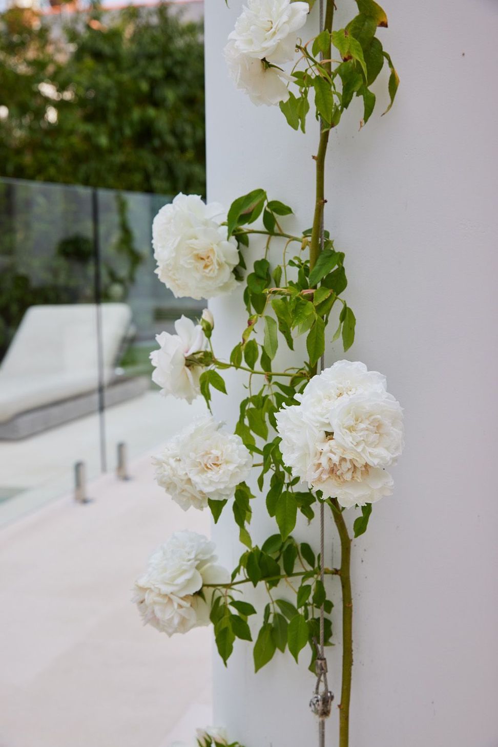 Woollahra House