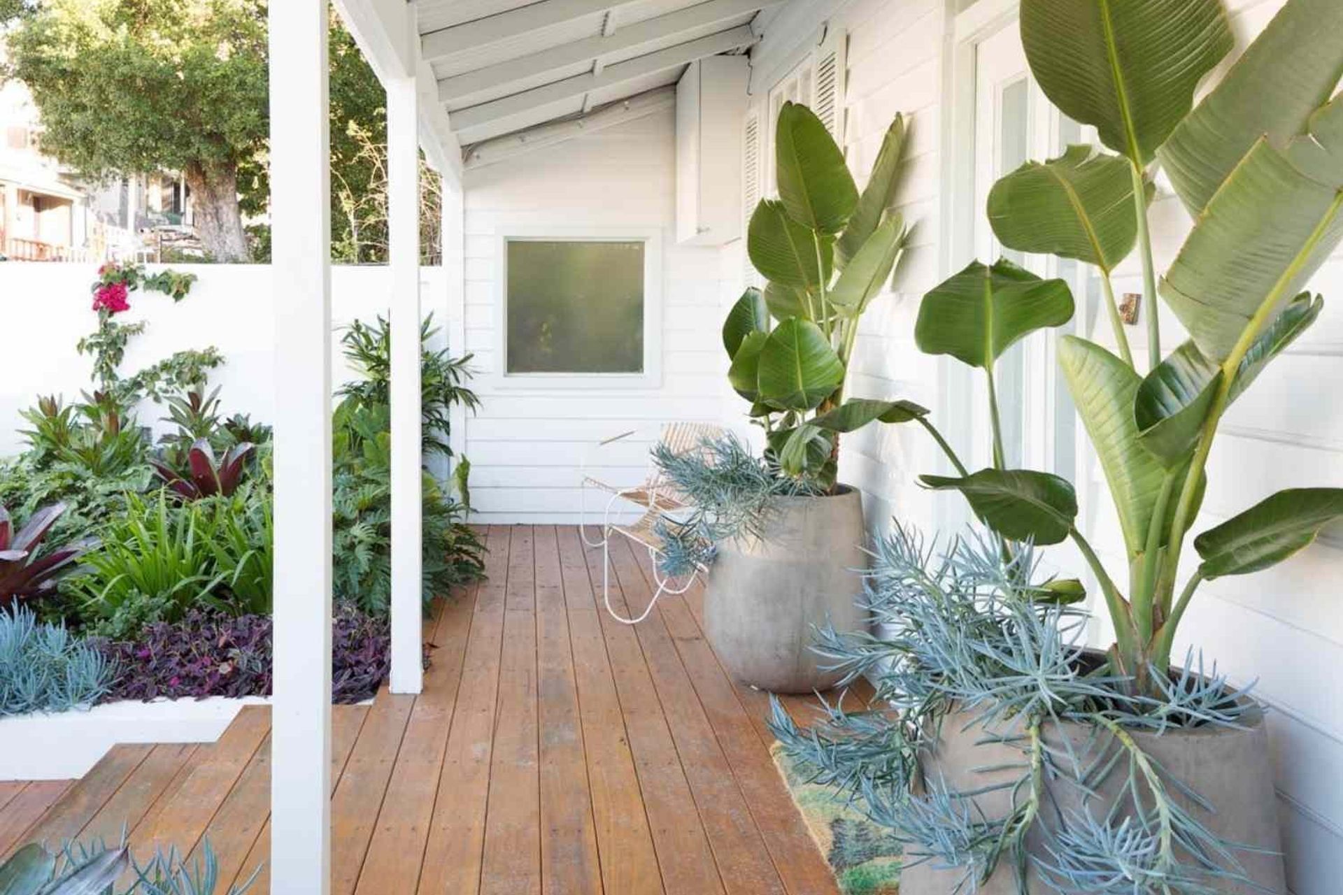 Rozelle - Garden 2