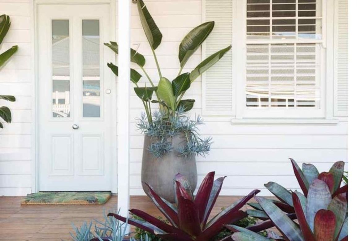 Rozelle - Garden