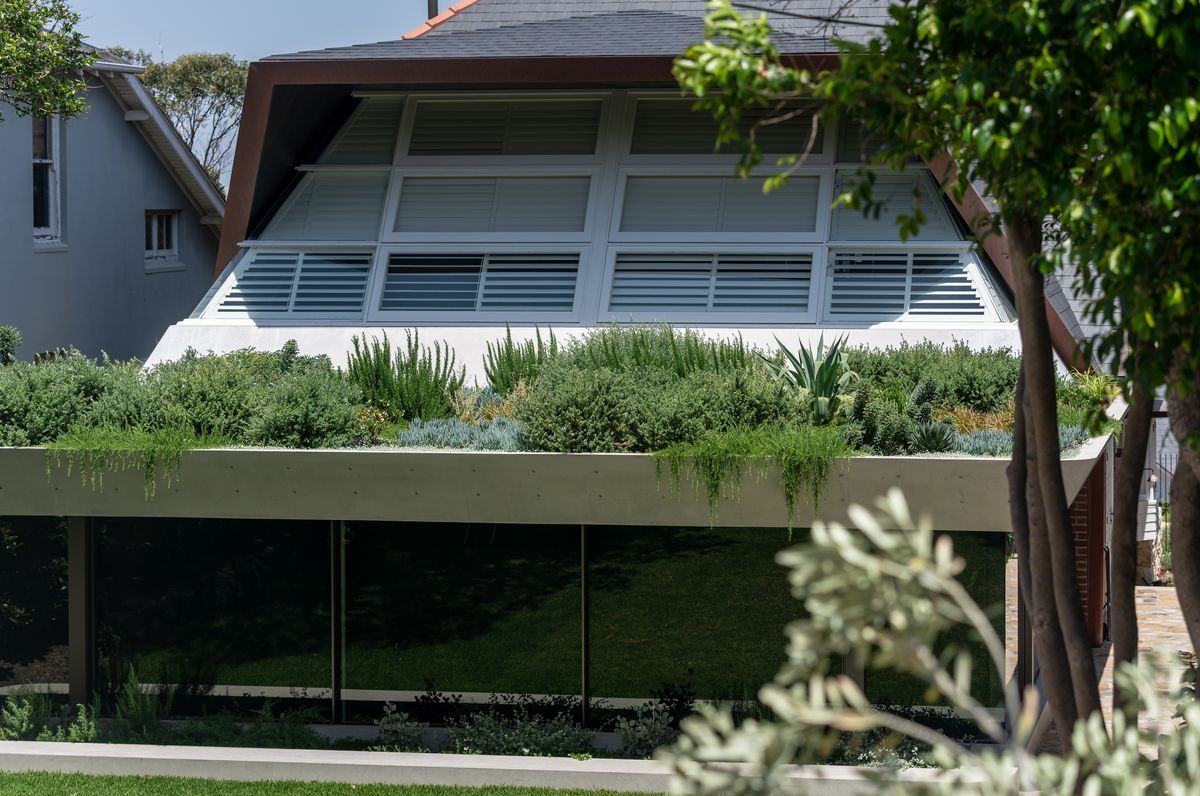Mosman (Kardinia)