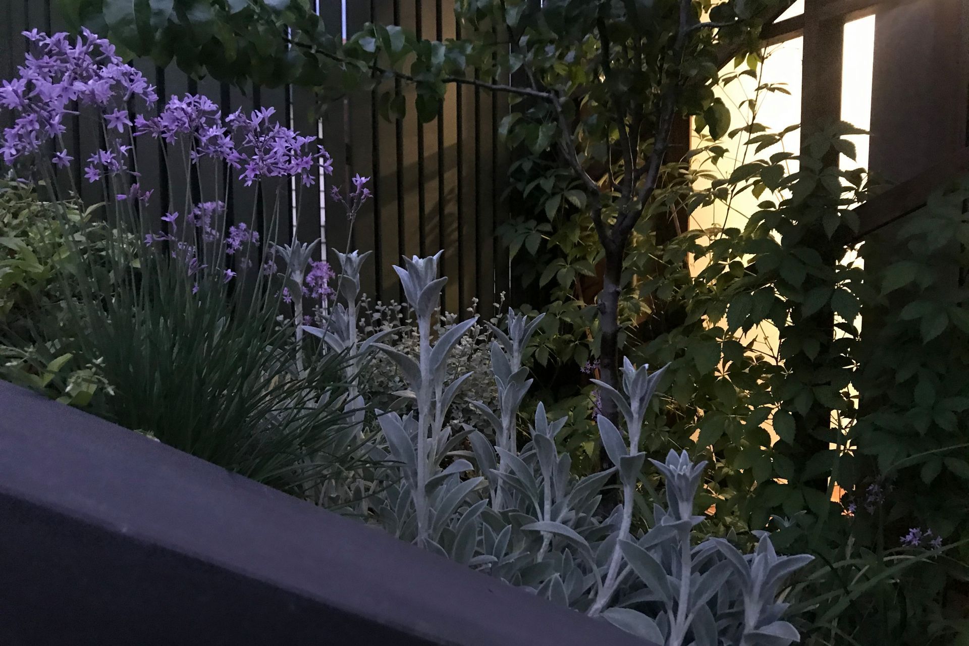 ##^^**&amp;&amp;'Welkin', Colourful Rooftop Terrace &amp; 'Scarborough' Garden In Clifton Hill