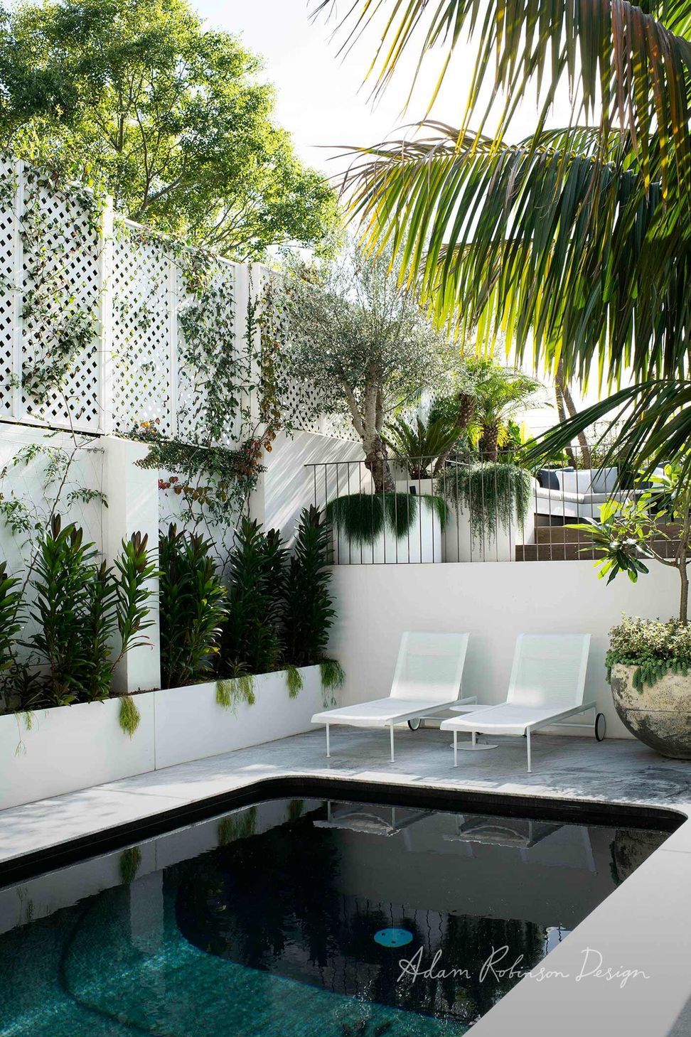 Paddington Terrace