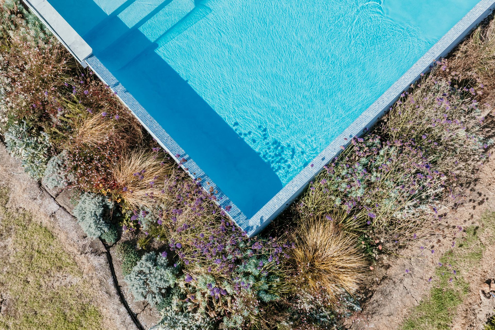 AMArchitectsWaihekeMCrawford-2183.jpg