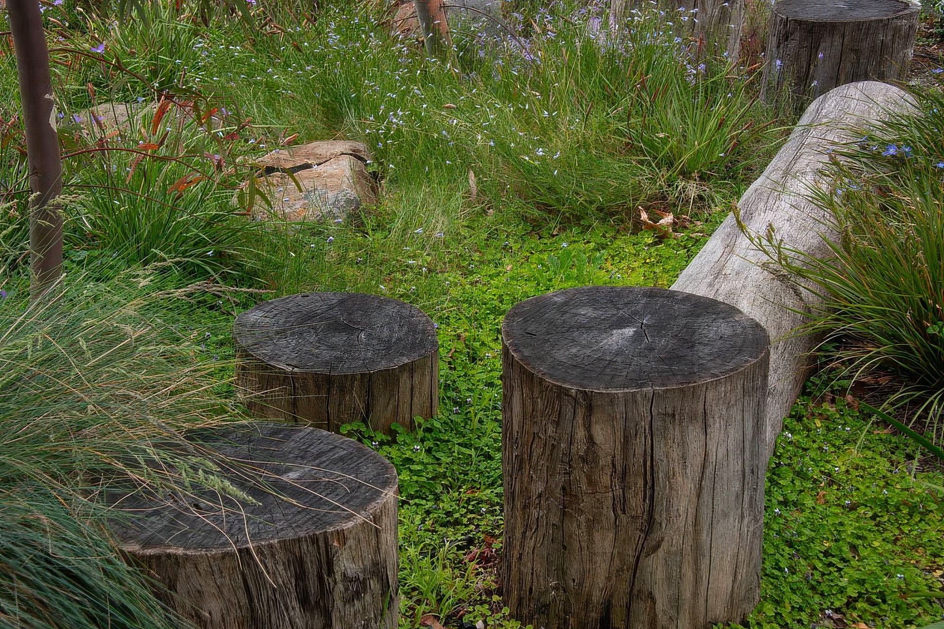 AQL-Landscapes-Smith-Thornbury-16-gigapixel-standard-v2-2x.jpeg