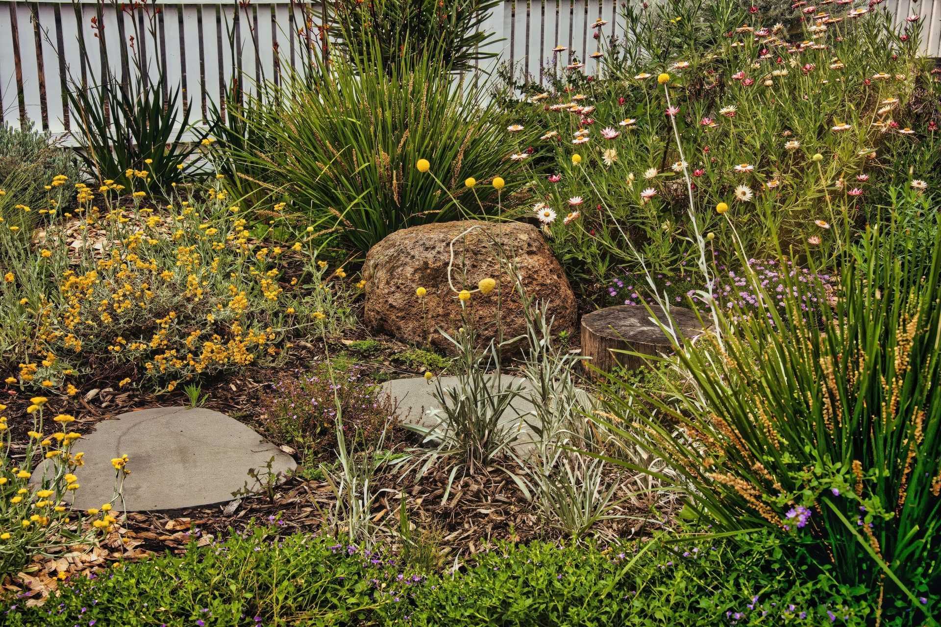 AQL-Landscapes-Smith-Thornbury-18-gigapixel-standard-v2-1x.jpeg