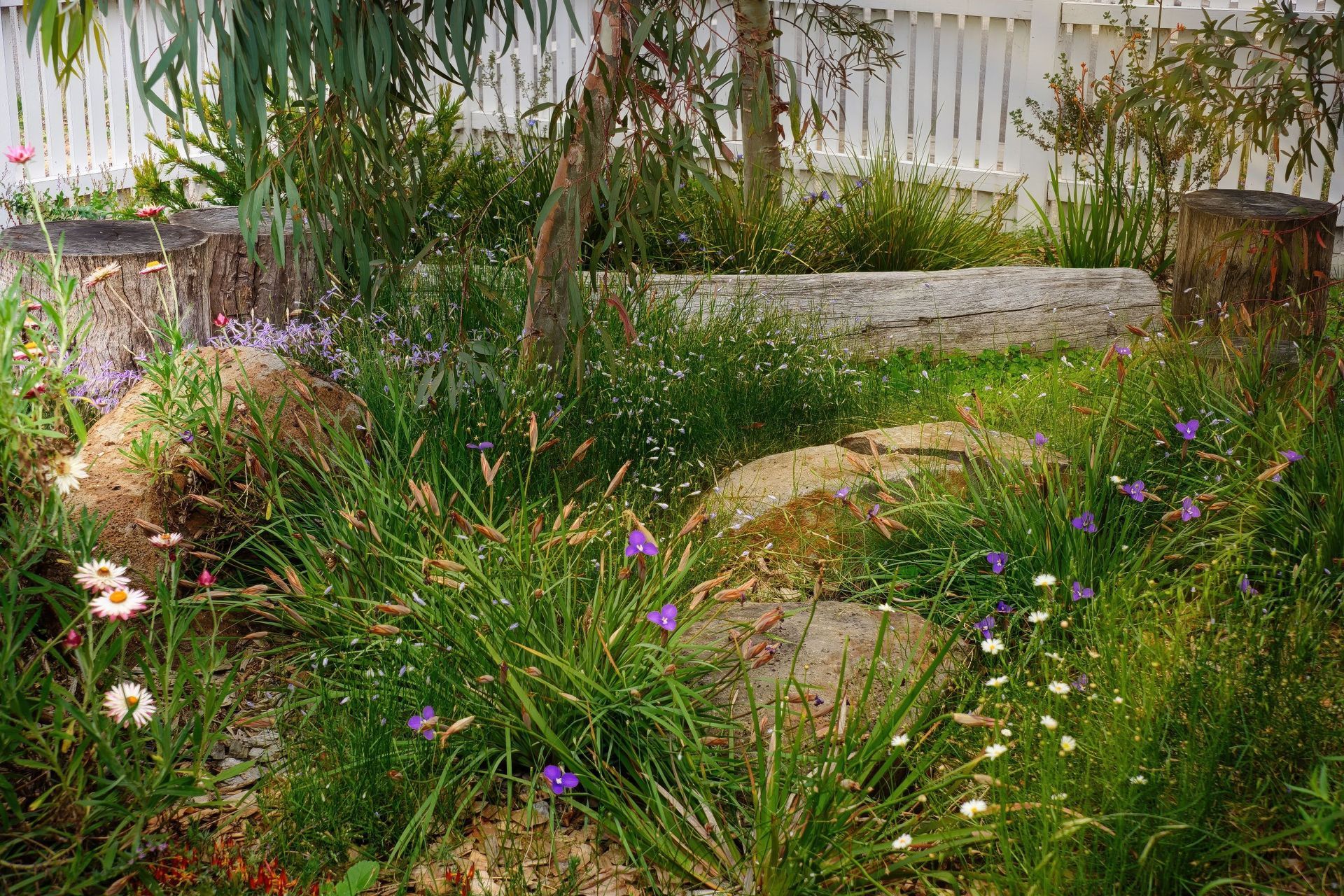 AQL-Landscapes-Smith-Thornbury-38-gigapixel-standard-v2-1x.jpeg