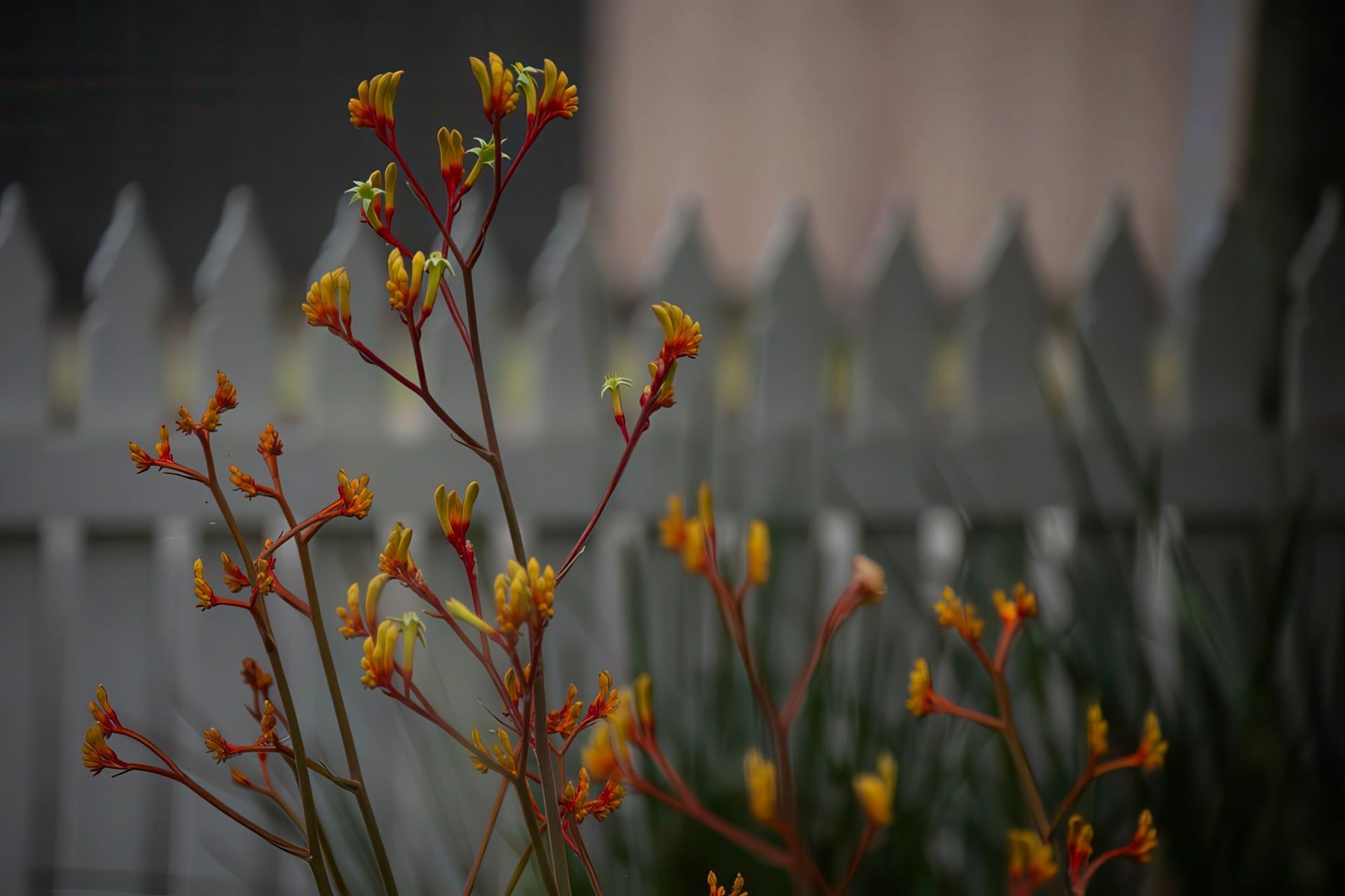 AQL-Landscapes-Smith-Thornbury-39-gigapixel-low-resolution-v2-2x.jpeg