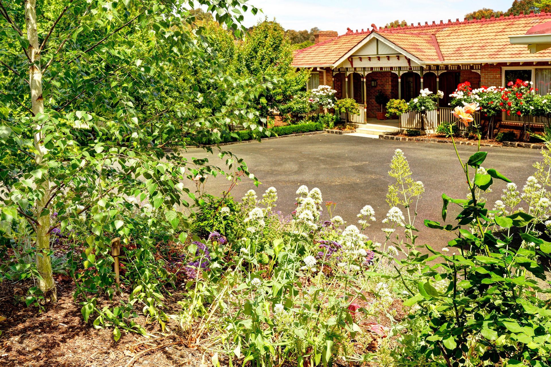 AQL-Mullum-01-v3.jpg