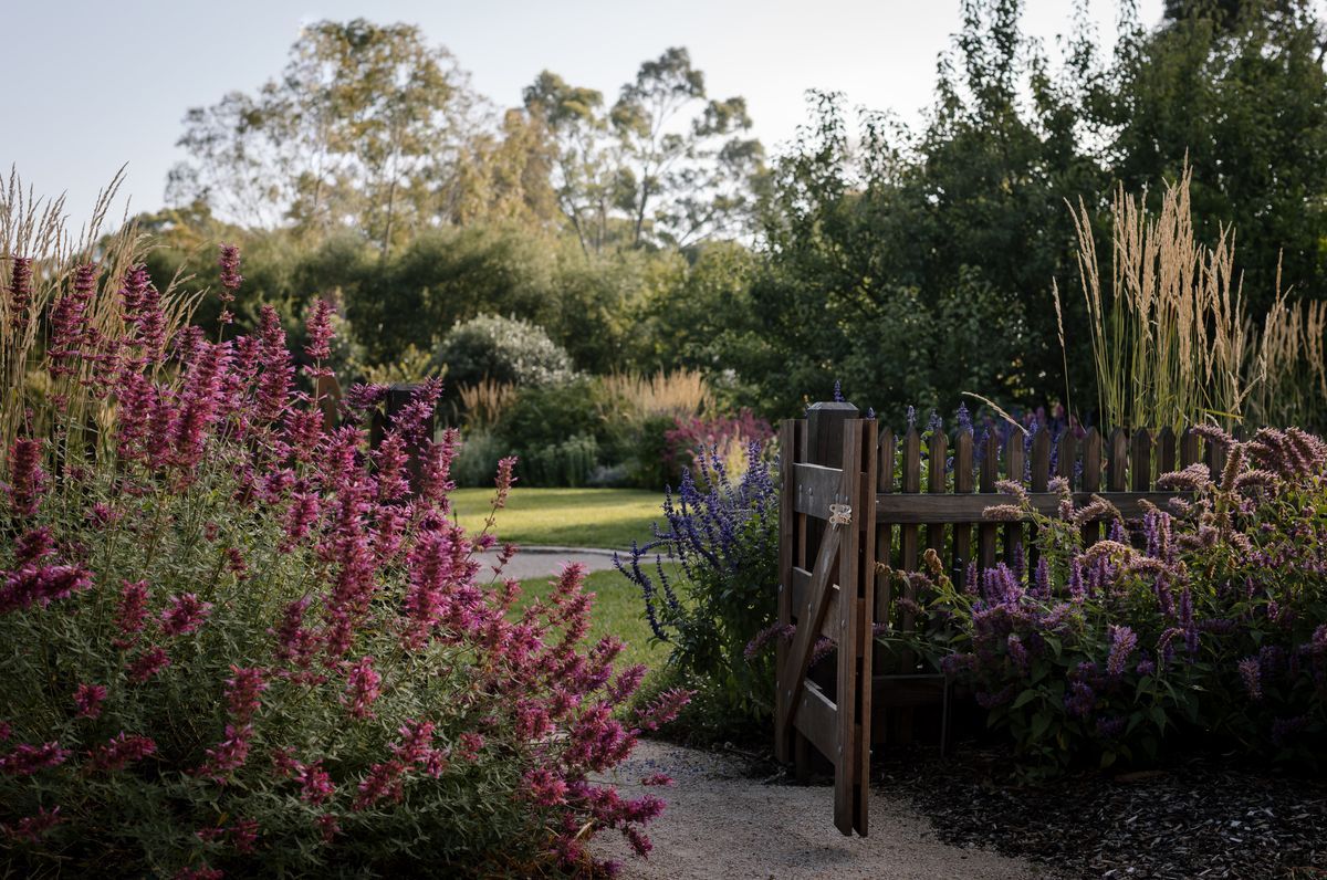 Eltham Garden