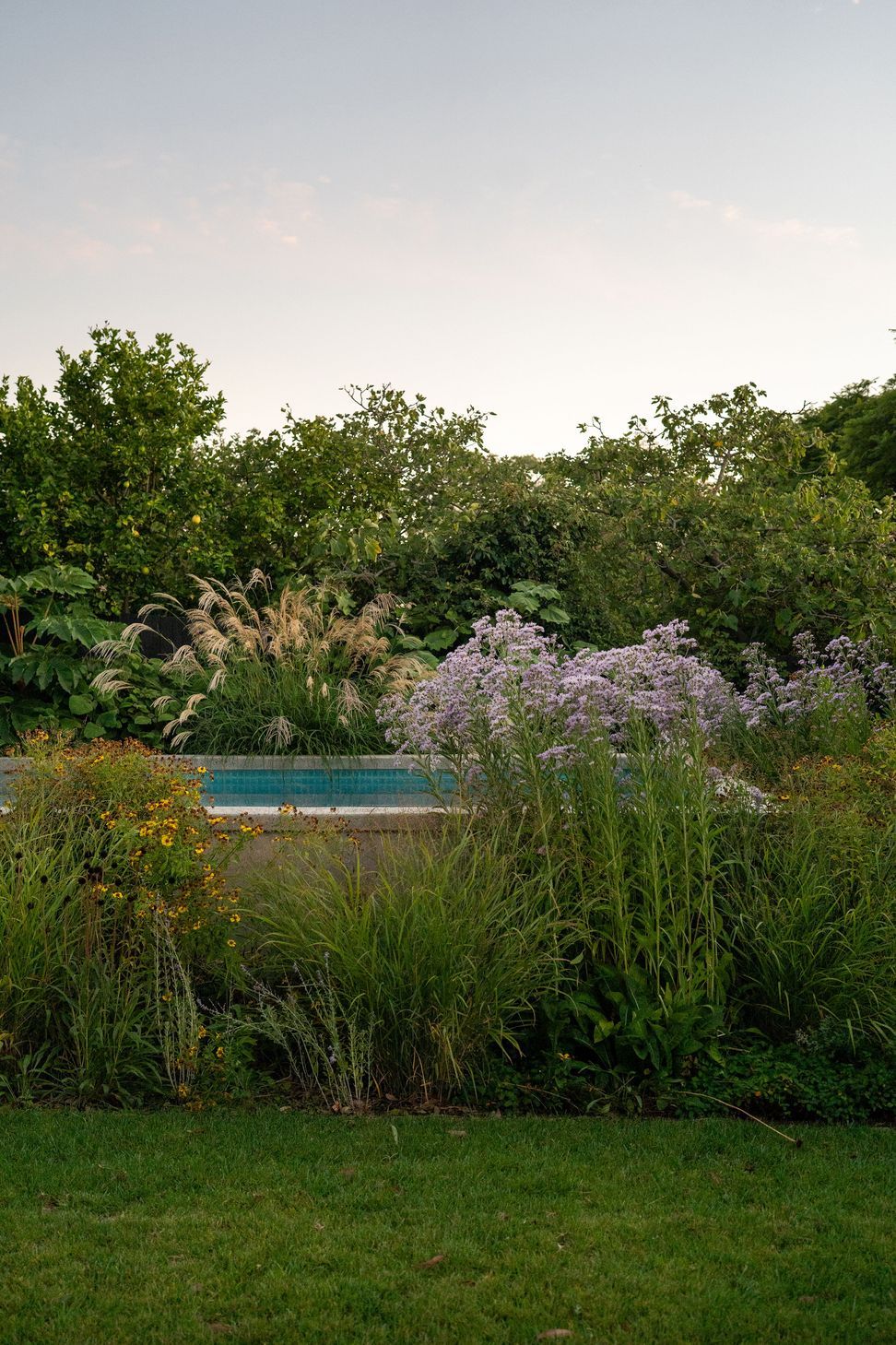 Andy-Murray-Landscape-Design-4-v6.jpg