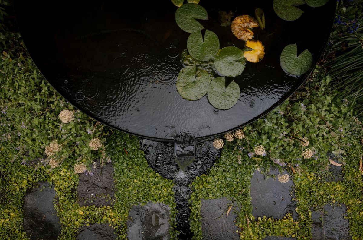 The Storybook Garden
