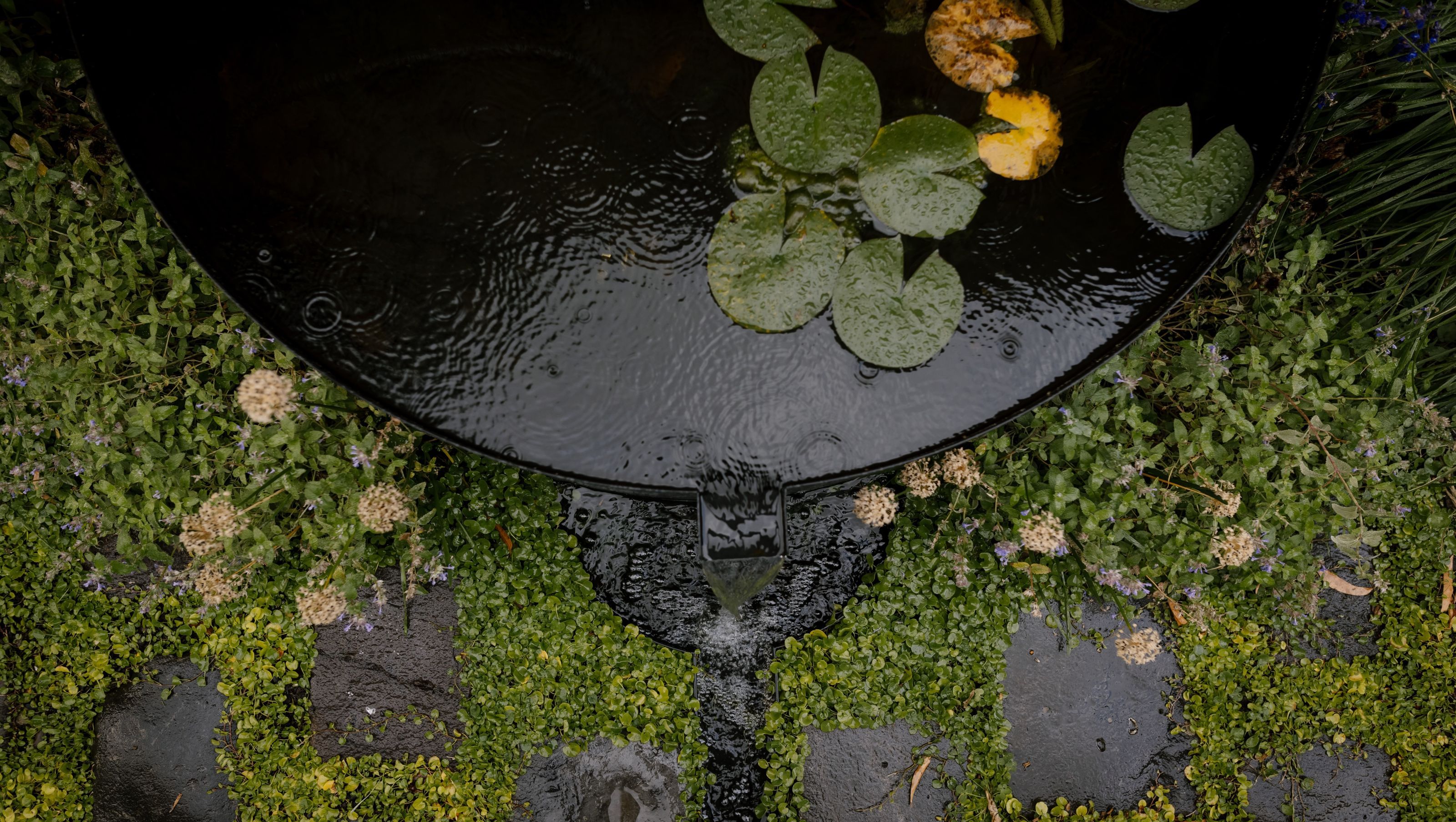 The Storybook Garden