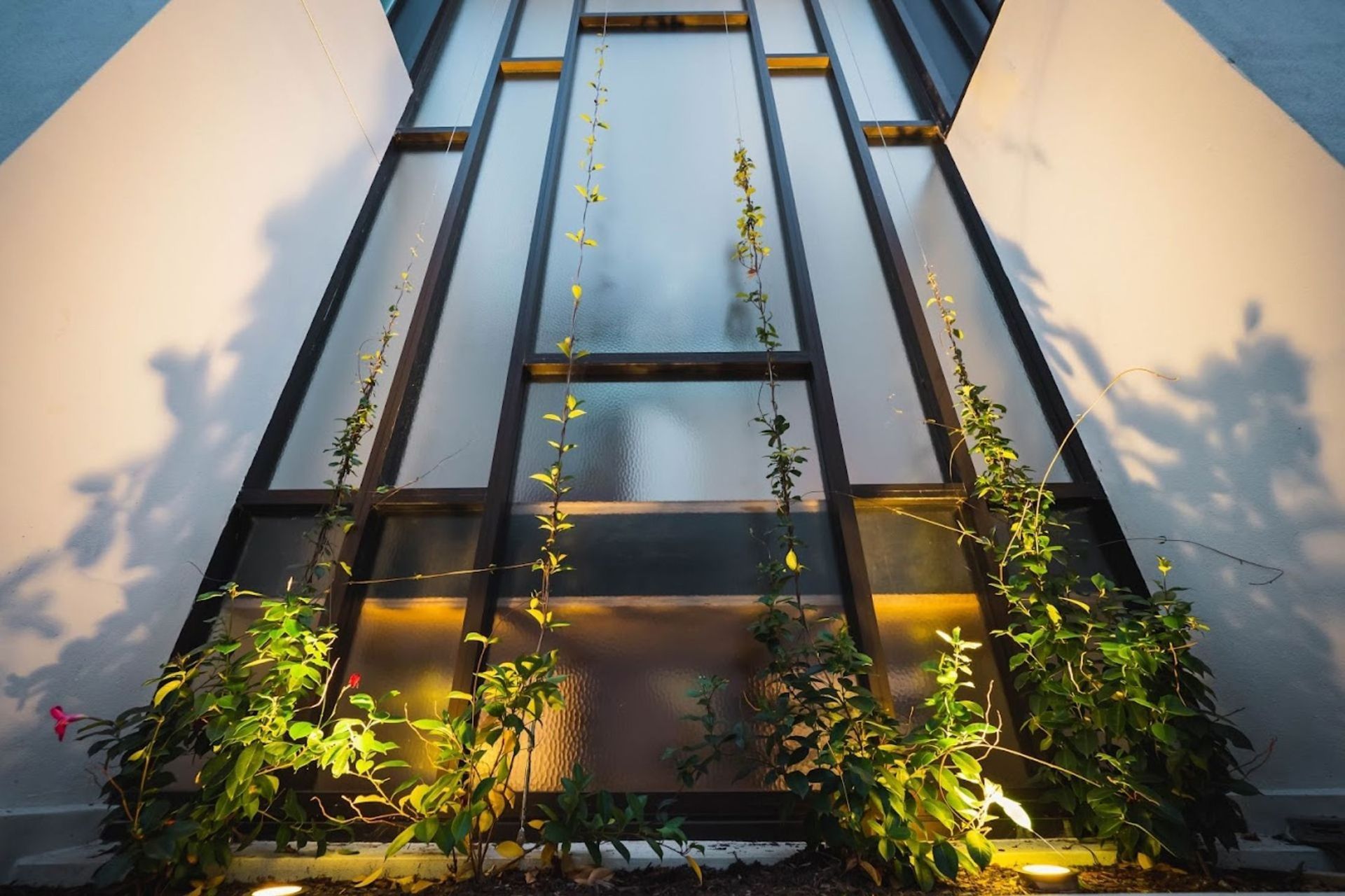 HANGING GARDEN